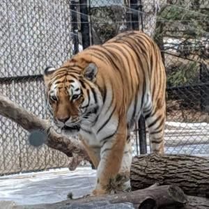 Meet your Posher, Mike